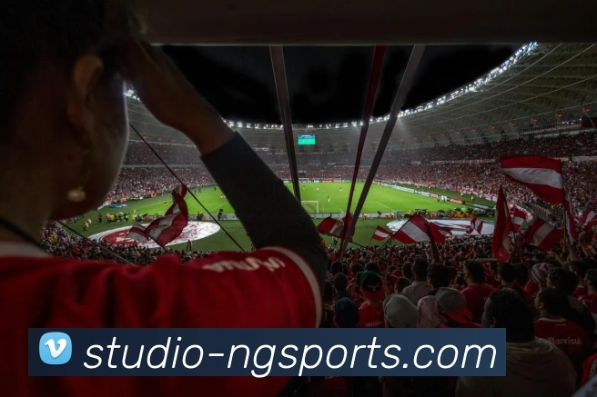 ng体育平台生态图