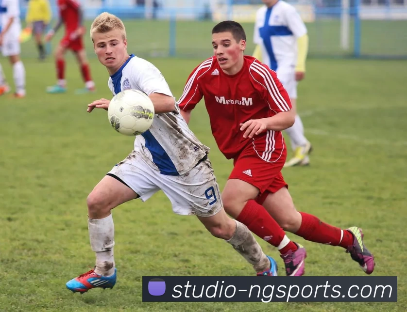 ng体育APP 封面图